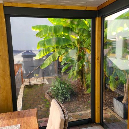 Blick durch das Wetter-Rollo auf eine Palme